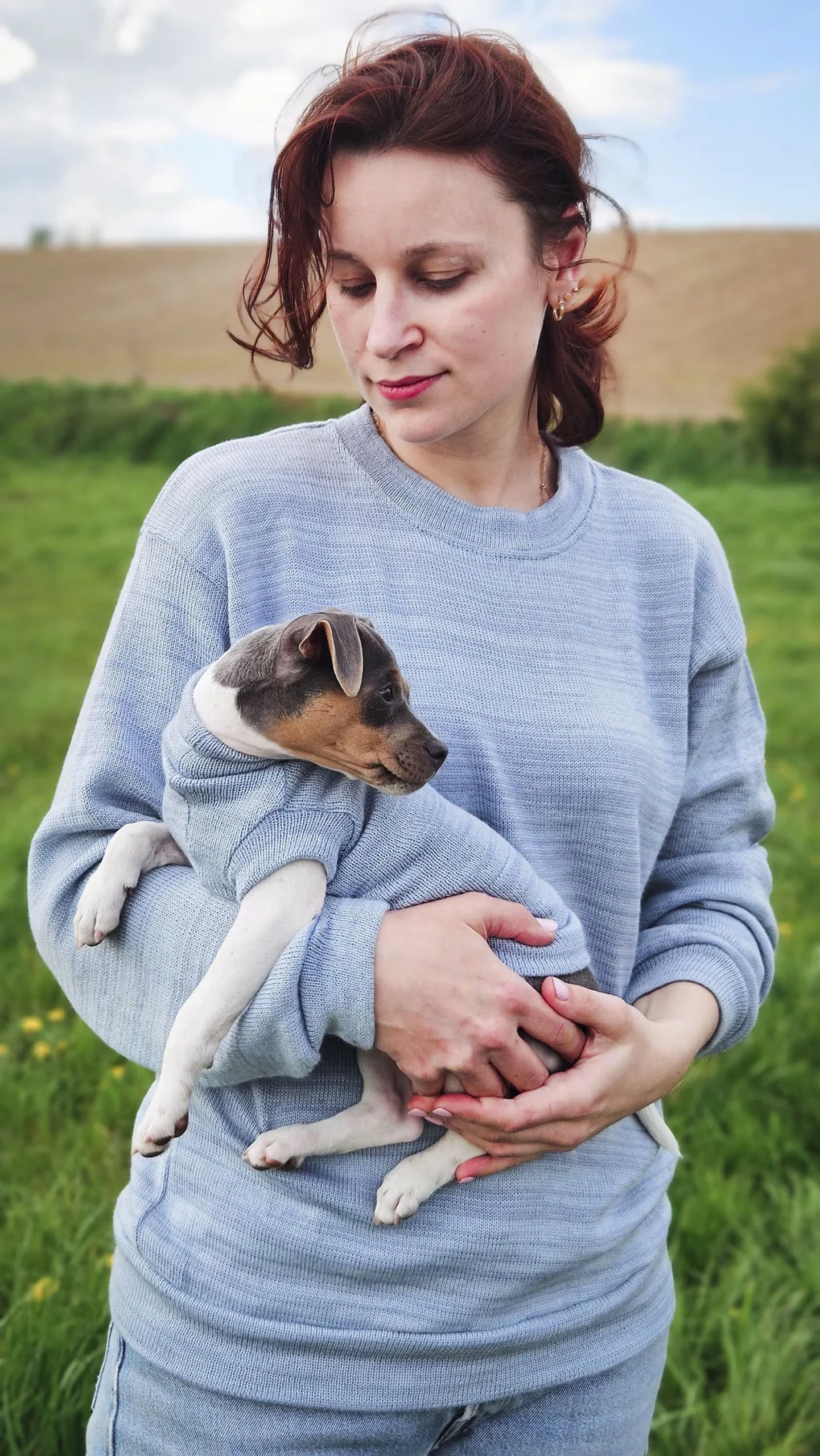 pies melanż 4 Merino wool dog sweater with melange pattern - Custom made - Image 3