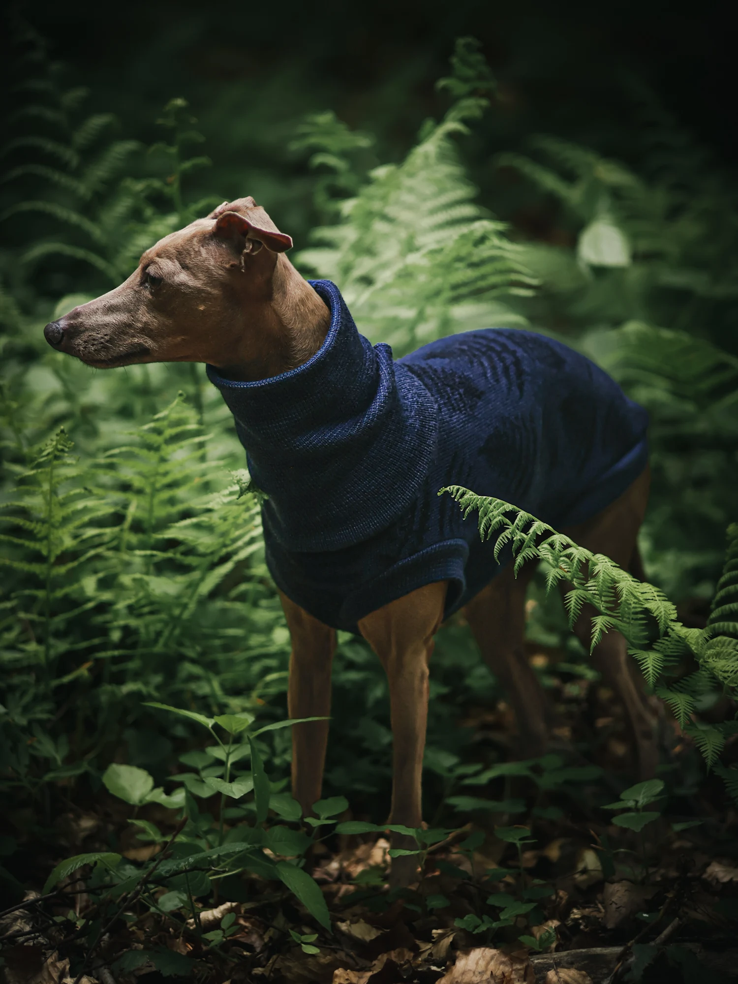 1000068900 kopia Custom Whippet merino wool Sweater – JACQUARD PATTERN - Image 7