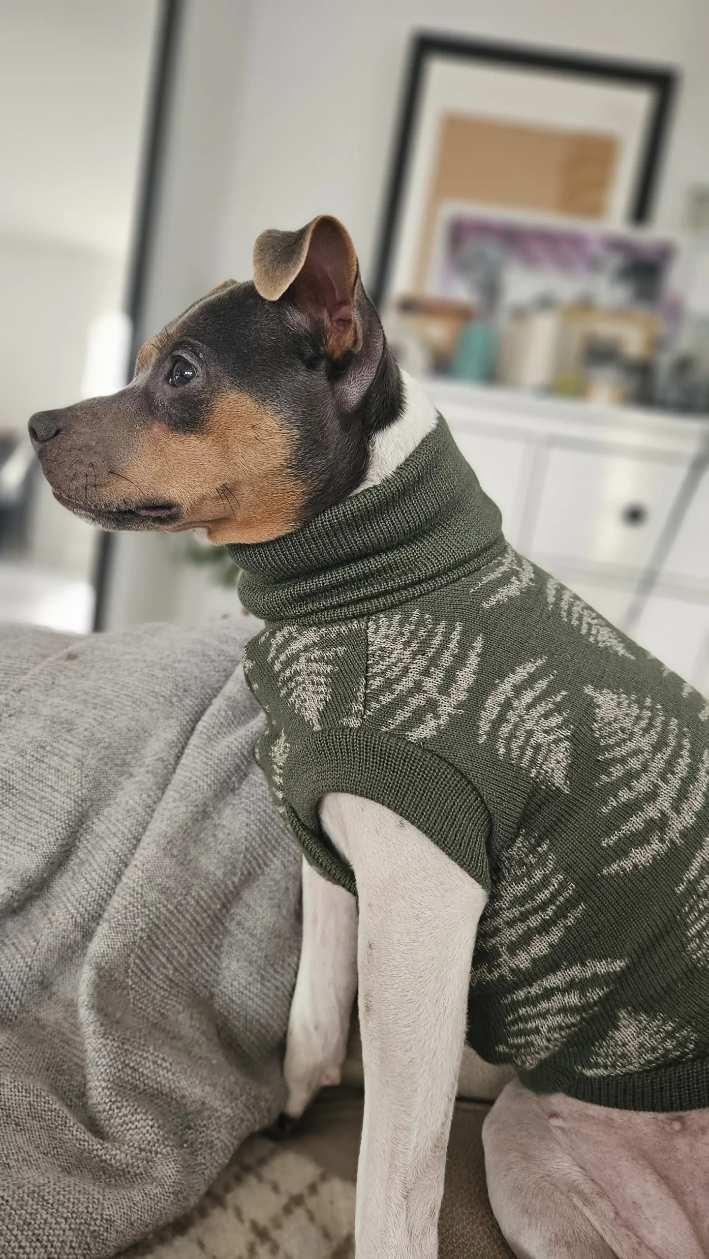 20250128_140406 kopia Custom Whippet merino wool Sweater – JACQUARD PATTERN - Image 12