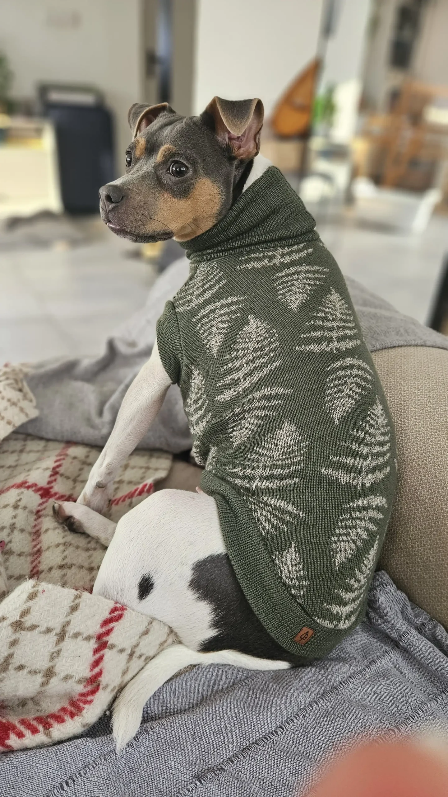 20250128_140419 kopia Custom Whippet merino wool Sweater – JACQUARD PATTERN - Image 13